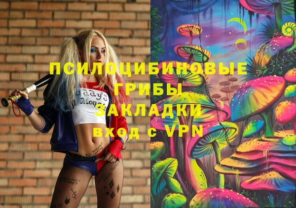 СК Абинск