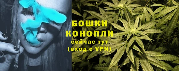 Альфа ПВП Абаза