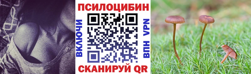 Псилоцибиновые грибы Magic Shrooms  купить наркотики цена  Бугуруслан 